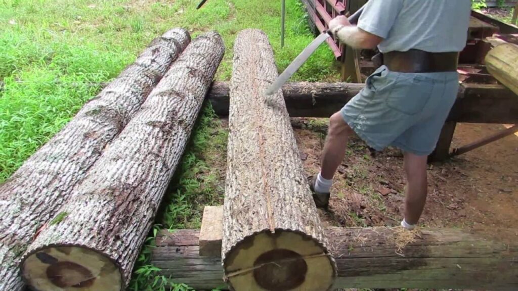 How to Remove Bark From a Tree