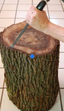How to Remove Bark From a Tree