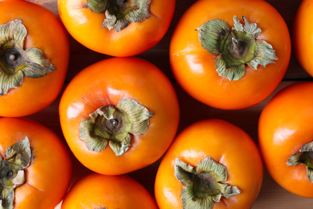 how to ripen persimmons off the tree